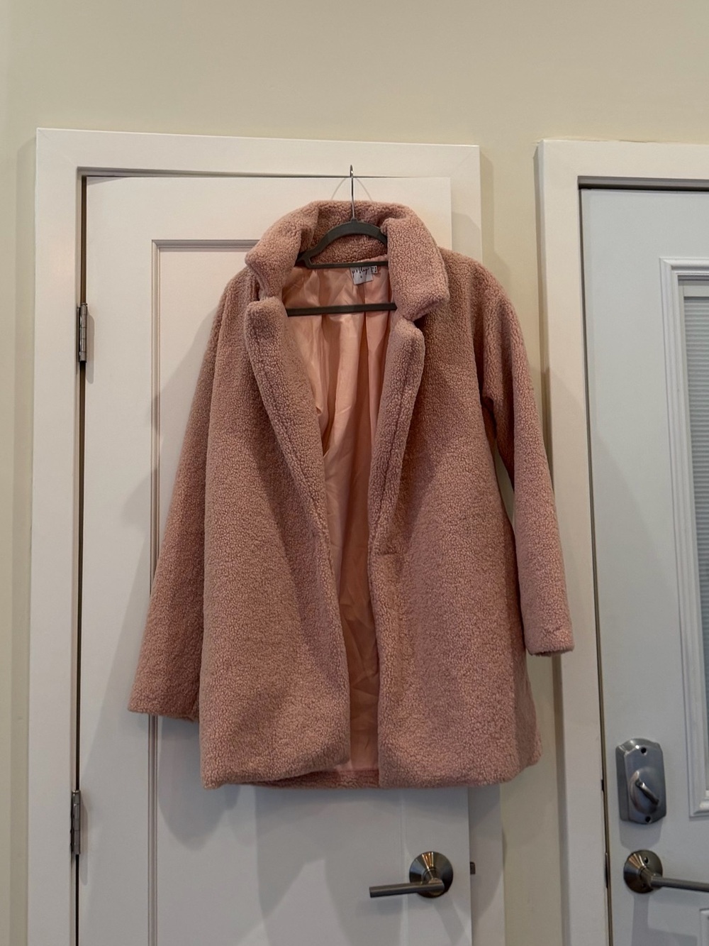 Women's Plush Teddy Coat in Dusty Pink